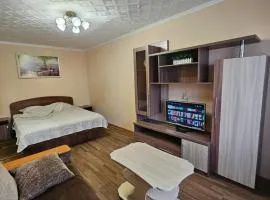 Lux Apartment on Potanina 19