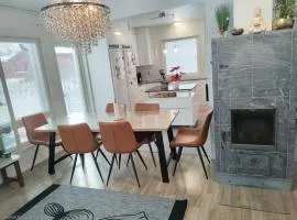 Spacious Modern House 10 km from airport, sauna