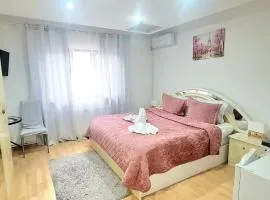 Pensiunea Red Rose Apartments