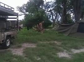 Savuti Mobile Camping Safaris，位于卡萨内的豪华帐篷营地