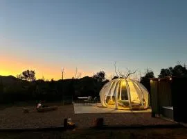 Bubble Hotel