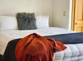 U Suites on Courtenay