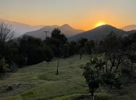 Oasis in the mountain, Quebrada Alvarado, Olmué