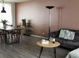 de Schelp
