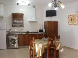 Apartamento Pascual Junquera II