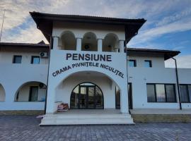 Pensiunea Crama Pivnițele Niculițel，位于Niculiţel的酒店