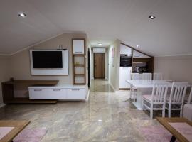 Vila Sofija Banja Vrujci，位于Gornja Toplica的酒店