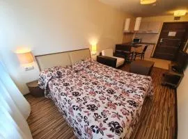 Bansko lodge 500m from ski lift