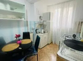 Apartament David