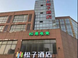 Pine Nut Hotel，位于芜湖的酒店