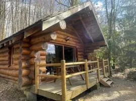 Chalet avec vue sur le lac