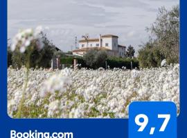 Molik&eacute; country house，位于朱利亚诺瓦的带泳池的酒店