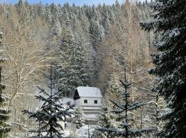 The House Next to the Forest - LAKMAT，位于Nové Hamry的别墅