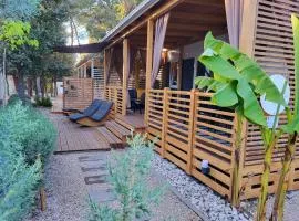 Ventura mobile home