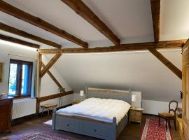 Charmante Dachgeschosswohnung im historischen Gutshaus，位于费茨肖的酒店