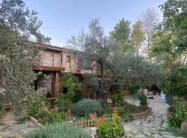 Pavelin Yeri Otel