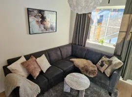 New&cozy apartment near Vrådal Panorama Ski Resort, Golf and Beach