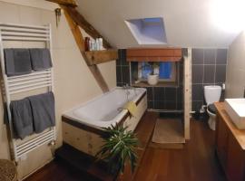 1 chambre double, grand salon et salle de bains toilettes 50 m2，位于南希的酒店