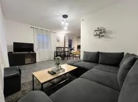 Spacieux appartement à Belfort