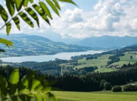 CK Apartment，位于Oberhofen am Irrsee的酒店