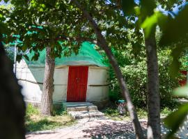 Arista Yurt Camp
