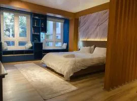 Modern Luxury Studio Apartment