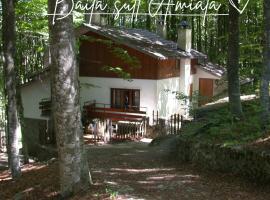 Baita Amiata，位于阿米亚塔山的酒店