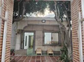 Casa yamulemao