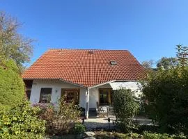 Ferienhaus RENA mit Pool