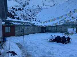Amadablam Base Camp Lodge，位于Mingbo的酒店