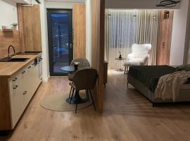 Studio Sara，位于拉姆尼库沃尔恰的住宿