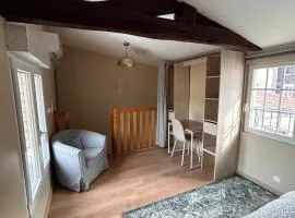 Appartement F1 duplex Hyper centre