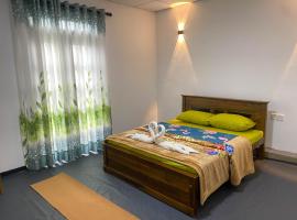 S and D Home Stay，位于努沃勒埃利耶的住宿