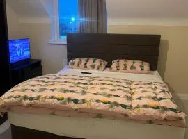 Komegloba Mega room