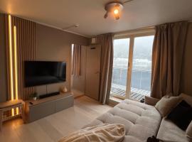 Voss Apartment in Oppheim Resort, pool and view，位于沃斯的酒店