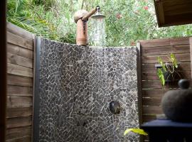 The BlueBamboo，位于勒穆莱的带泳池的酒店