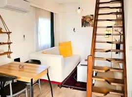 Duplex Apartment Close to Kite Surf Center in Urla