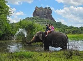 The Wild Elephant Resort