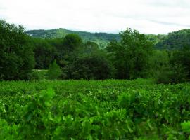 Domaine Robert，位于罗尼的酒店