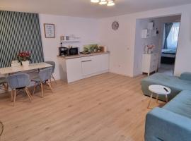 RR House Apartments，位于莱斯诺夫的酒店