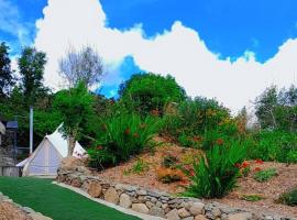 Fairy Cove at Rosemount Glamping，位于卡林福德的豪华帐篷