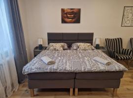 Černá Růže- apartmán 2，位于比尔森的酒店