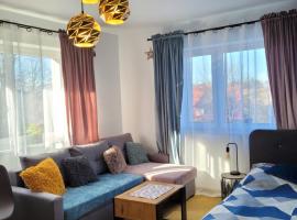 Apartamencik Pod Krokusem，位于Rabka-Zdroj的酒店