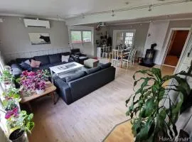 Hemsedal - 7 bedrooms - WI-FI