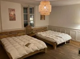 Old Charming Rustic Simple Swiss Flat 60m2 Authentic Center Burgdorf Parking Small Bath