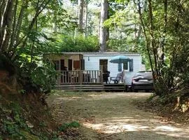Tiny Sweet Home