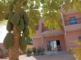 Gite de la savane