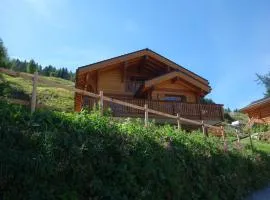 Chalet in Les Masses with ski storage