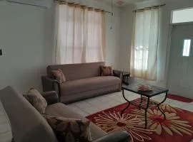 Abigail Diamond 2 bedroom apt Near Nanny Cay marina