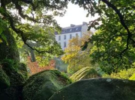 Vue imprenable sur le Moulin du chaos !